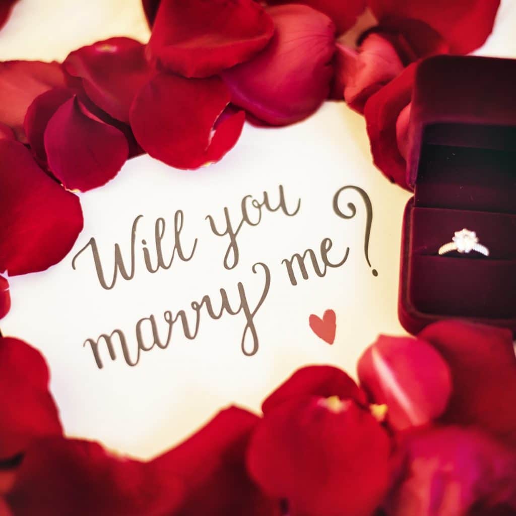 The Proposal – The Date Is April 2010